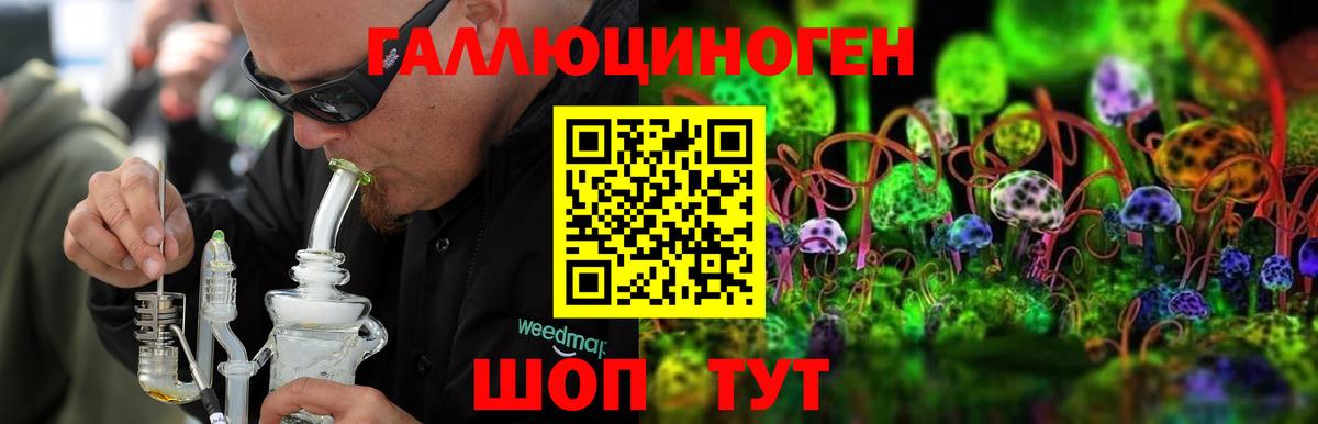 Псилоцибиновые грибы MAGIC MUSHROOMS  Вход с VPN  Кировск  Галлюциногенные грибы Cubensis 