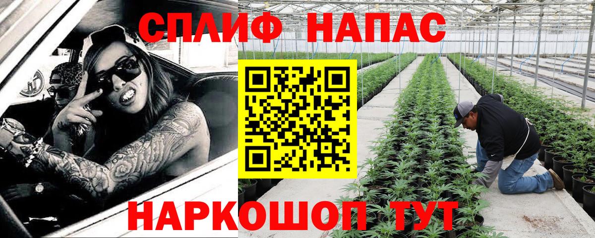 Марихуана гибрид  Конопля конопля  Бошки Шишки гибрид  Вход с VPN  Марихуана семена  Кировск 